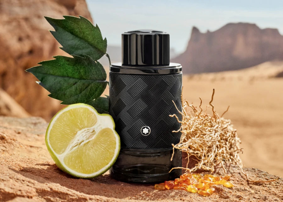 Explorer EDP - Montblanc