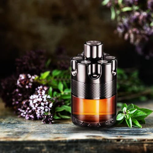 Wanted By Night EDP - Azzaro